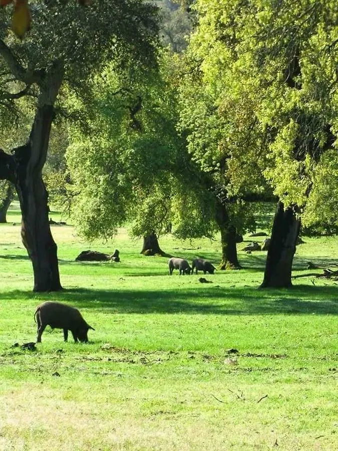 Sierra De Aracena Cala Huelva Villa